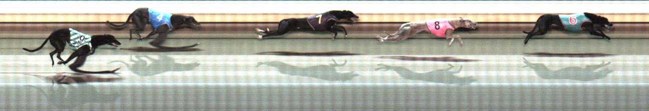 Photo finish for Warrnambool Race 8