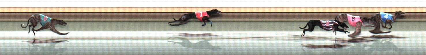 Photo finish for Warrnambool Race 9