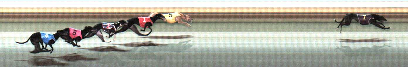 Photo finish for Warrnambool Race 10