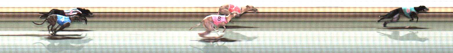 Photo finish for Warrnambool Race 11