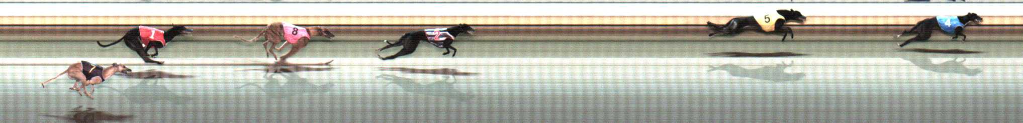 Photo finish for Warrnambool Race 12