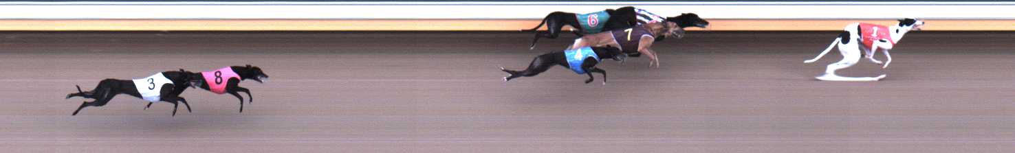 Photo finish for Warrnambool Race 1