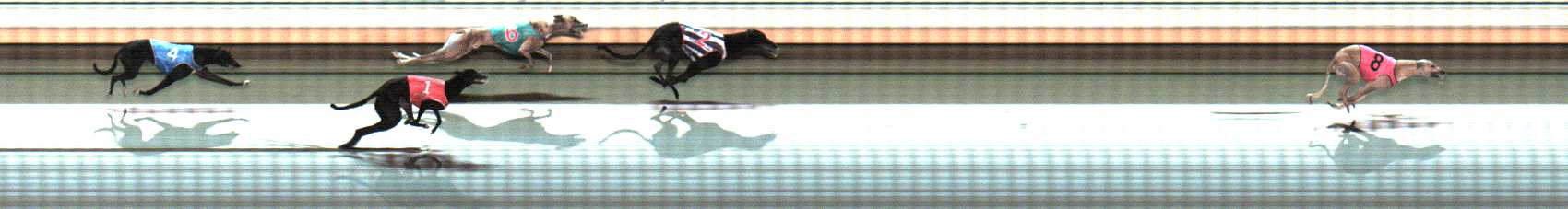 Photo finish for Warrnambool Race 10