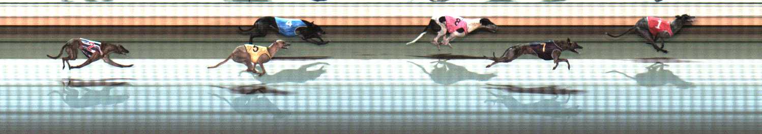 Photo finish for Warrnambool Race 11
