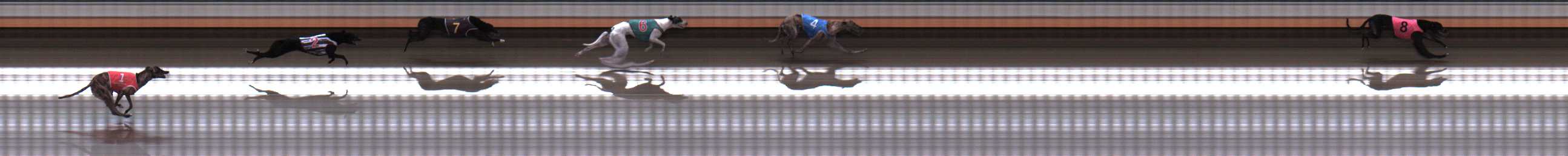 Photo finish for Warrnambool Race 3