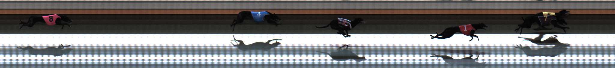 Photo finish for Warrnambool Race 4