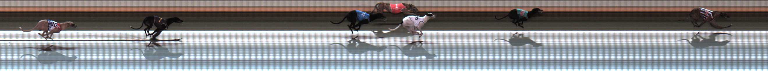 Photo finish for Warrnambool Race 5