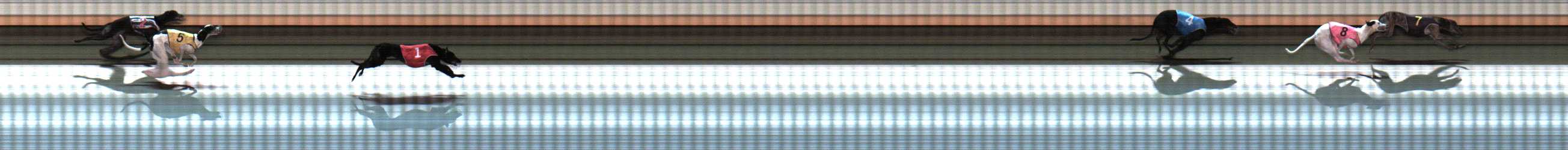 Photo finish for Warrnambool Race 6