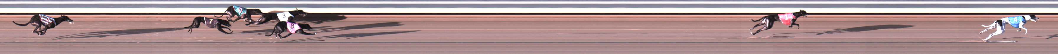 Photo finish for Warrnambool Race 1