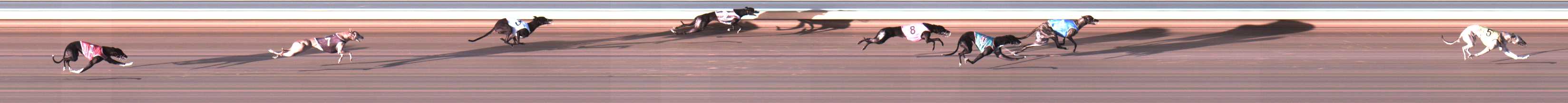 Photo finish for Warrnambool Race 2
