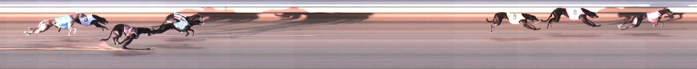 Photo finish for Warrnambool Race 3