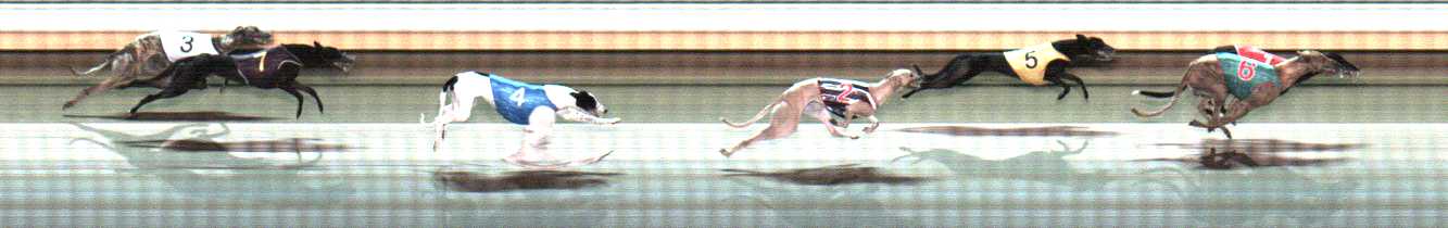 Photo finish for Warrnambool Race 6