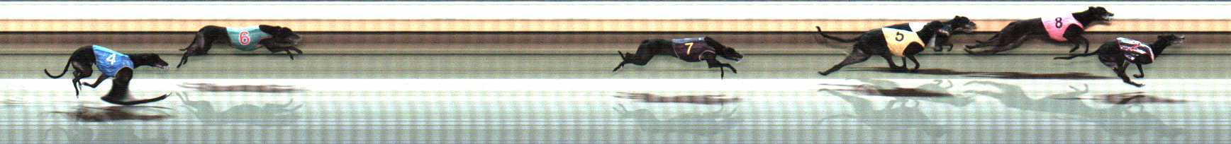 Photo finish for Warrnambool Race 9