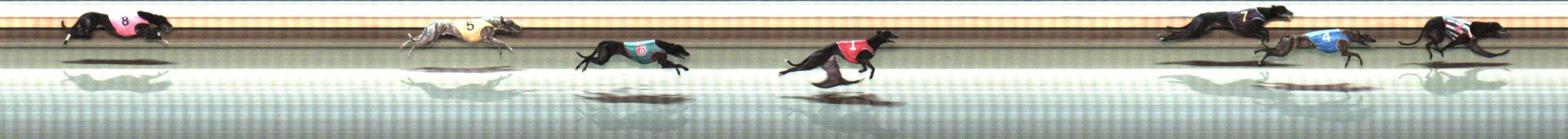 Photo finish for Warrnambool Race 10
