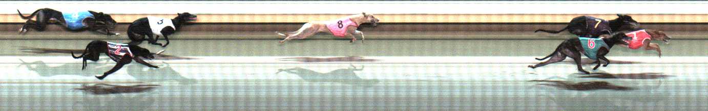 Photo finish for Warrnambool Race 11