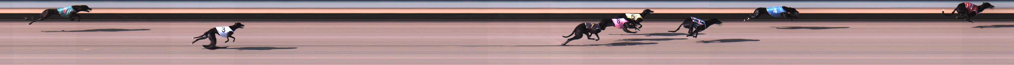 Photo finish for Warrnambool Race 1