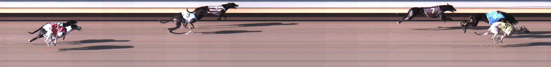 Photo finish for Warrnambool Race 2