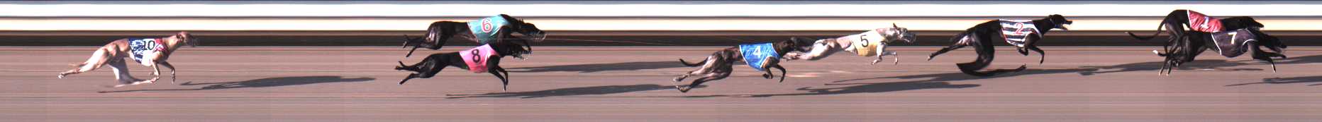 Photo finish for Warrnambool Race 3