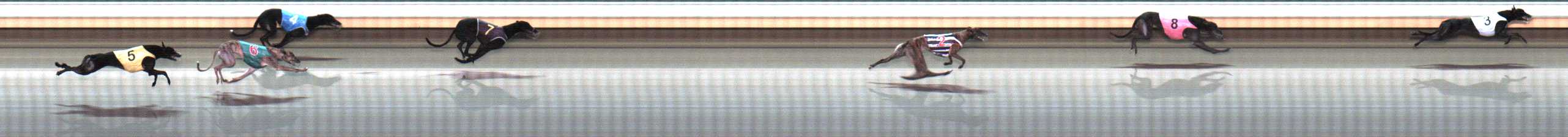 Photo finish for Warrnambool Race 7