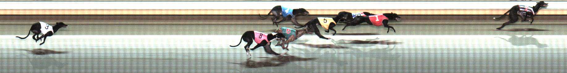Photo finish for Warrnambool Race 9