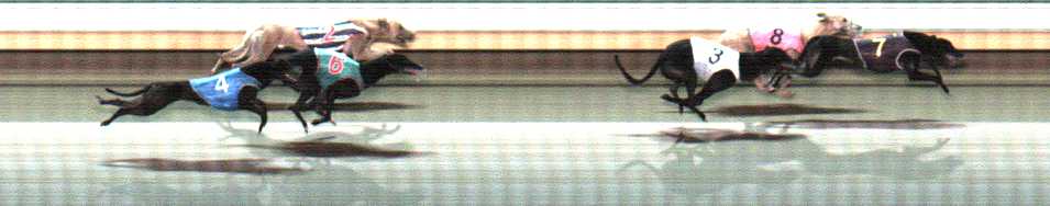 Photo finish for Warrnambool Race 12