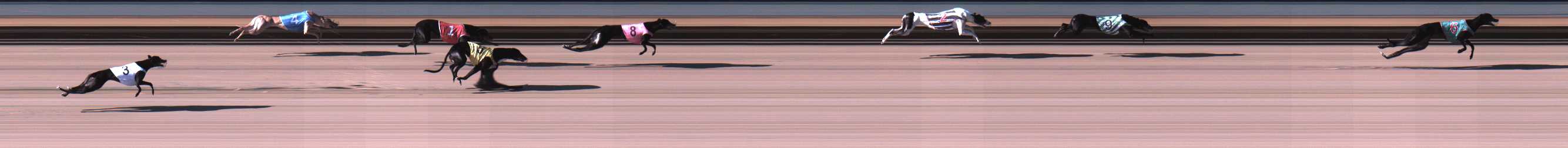 Photo finish for Warrnambool Race 1
