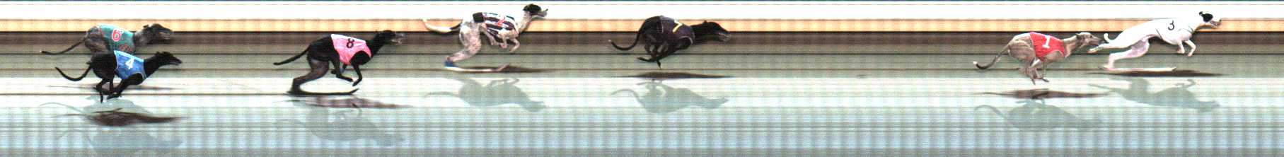 Photo finish for Warrnambool Race 11