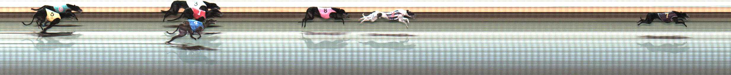 Photo finish for Warrnambool Race 12