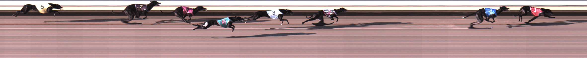 Photo finish for Warrnambool Race 4