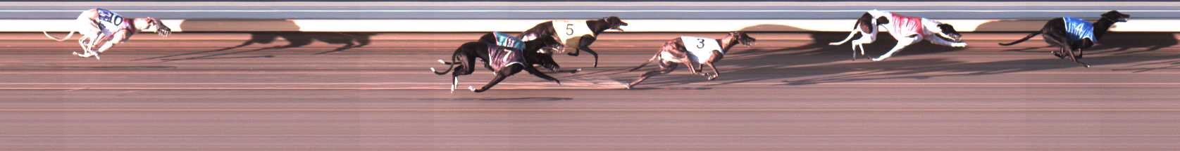 Photo finish for Warrnambool Race 6