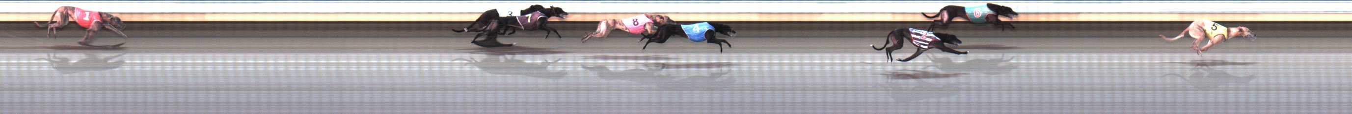 Photo finish for Warrnambool Race 7