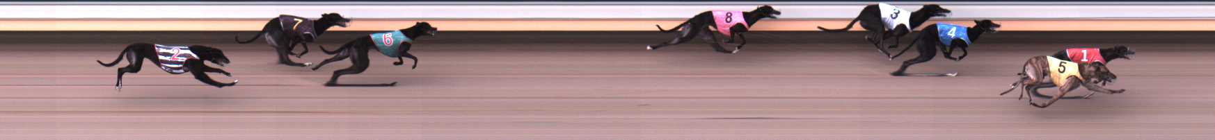 Photo finish for Warrnambool Race 1