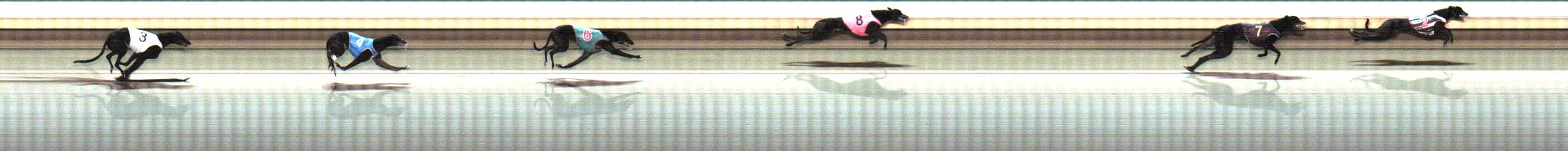 Photo finish for Warrnambool Race 10