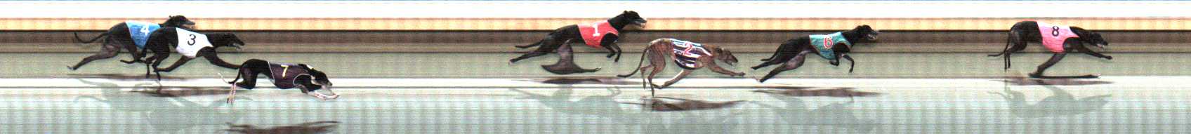 Photo finish for Warrnambool Race 11