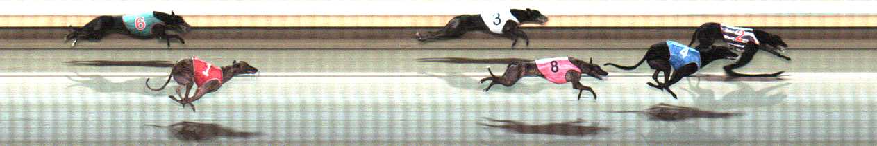 Photo finish for Warrnambool Race 12