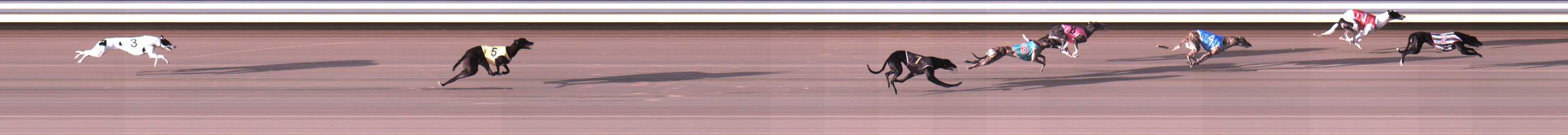 Photo finish for Warrnambool Race 2