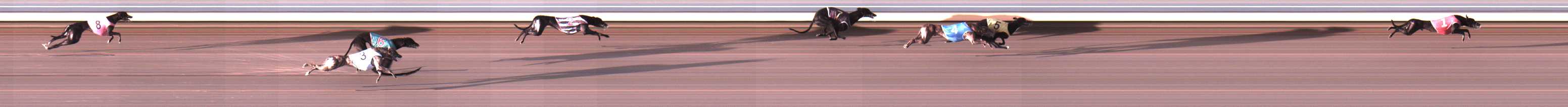 Photo finish for Warrnambool Race 3