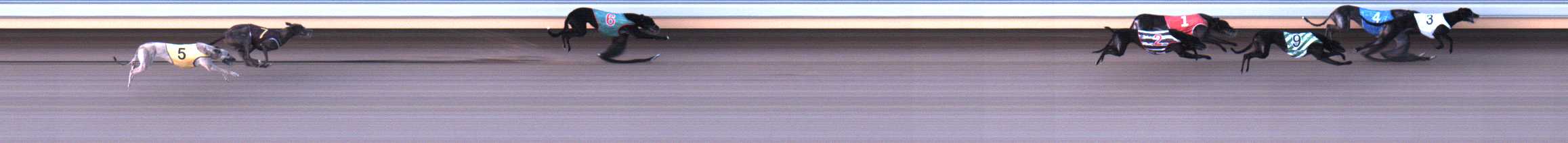 Photo finish for Warrnambool Race 4