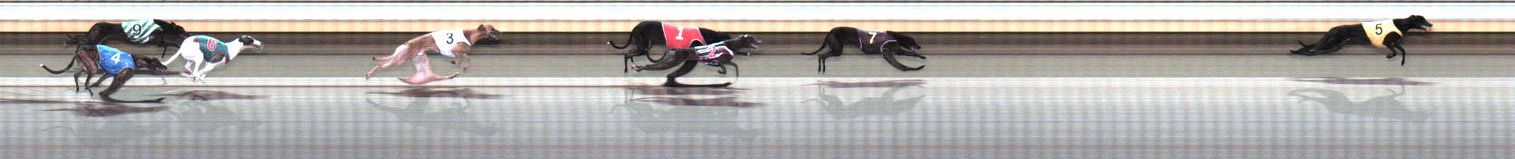 Photo finish for Warrnambool Race 5