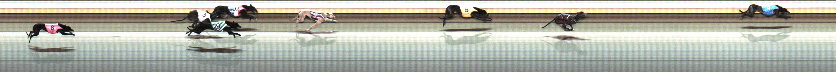 Photo finish for Warrnambool Race 7