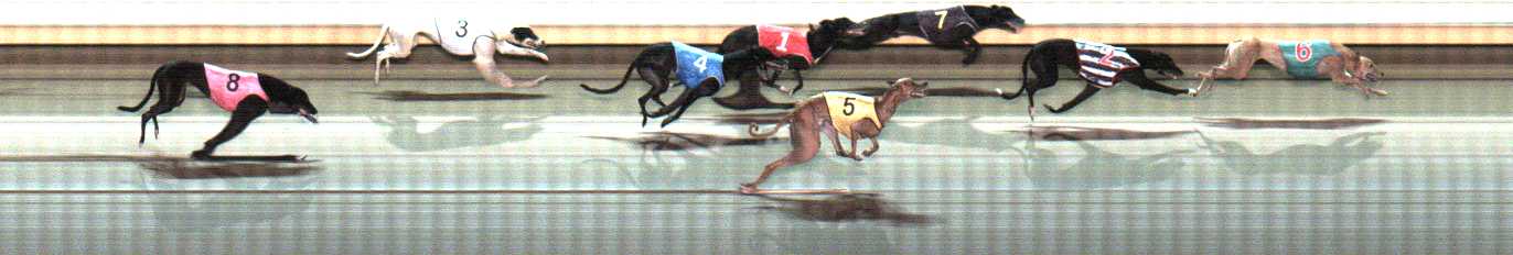 Photo finish for Warrnambool Race 8