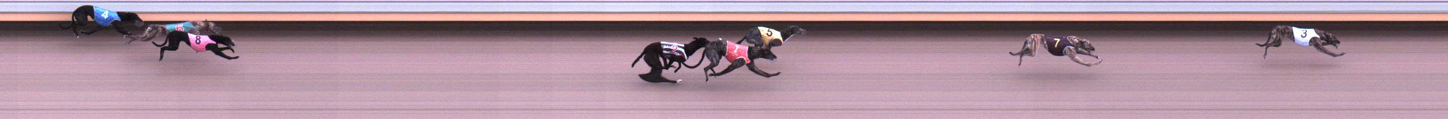 Photo finish for Warrnambool Race 1