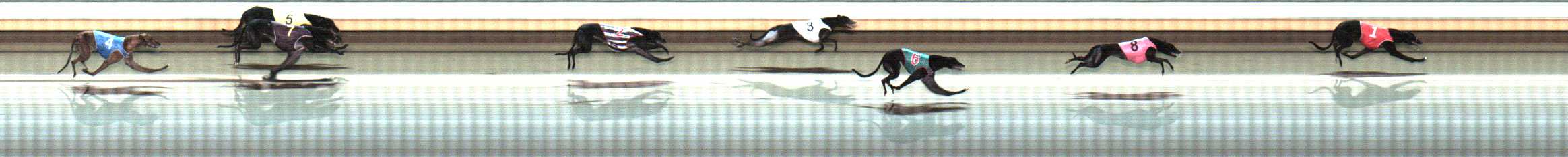Photo finish for Warrnambool Race 10