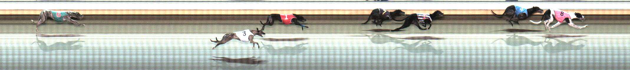 Photo finish for Warrnambool Race 11