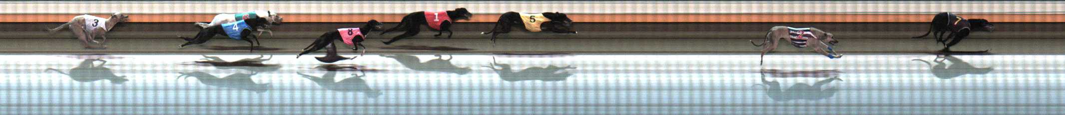 Photo finish for Warrnambool Race 12