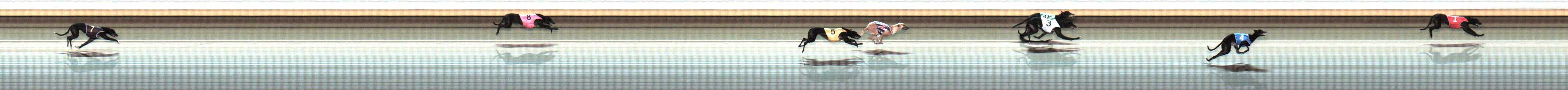 Photo finish for Warrnambool Race 3