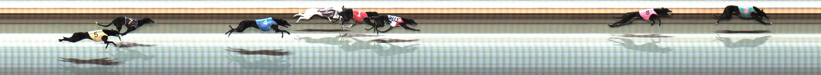 Photo finish for Warrnambool Race 4