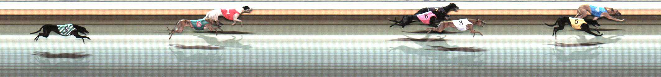 Photo finish for Warrnambool Race 6