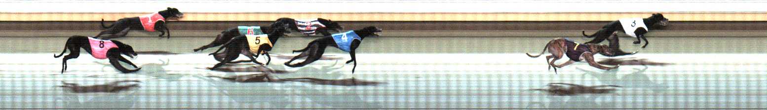 Photo finish for Warrnambool Race 7