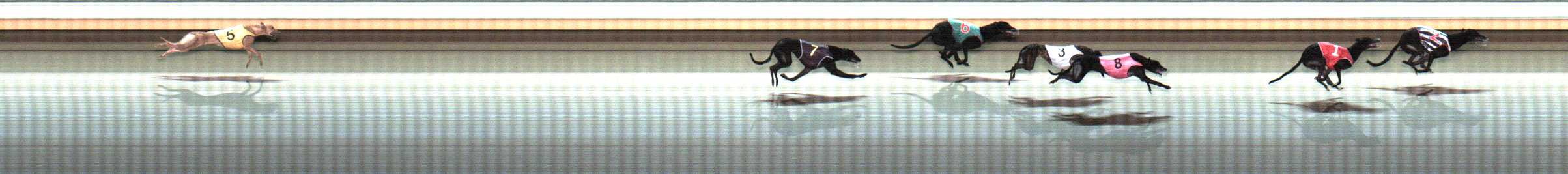 Photo finish for Warrnambool Race 9
